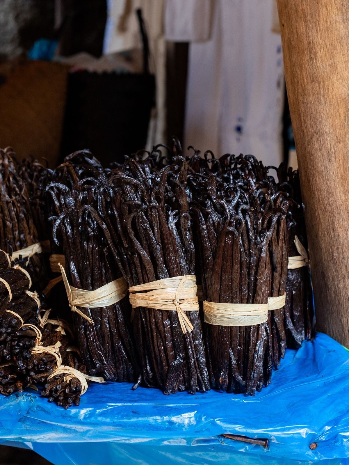 East Africa Sourcing